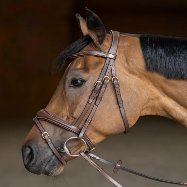 Bridon cheval cuir Wavy - HFI Master