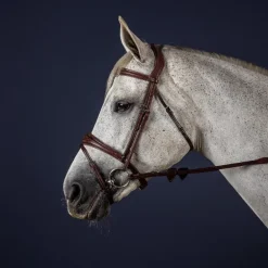 Bridon cheval muserolle combinée anatomique New English Collection - Dy'on