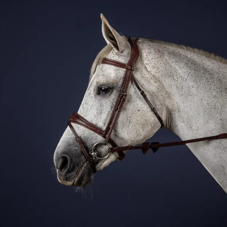 Bridon cheval muserolle combinée anatomique New English Collection - Dy'on