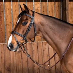 Bridon cheval muserolle combinée Classique Working Collection - Dy'on