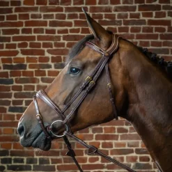 Bridon cheval muserolle combinée anatomique D Collection - Dy'on