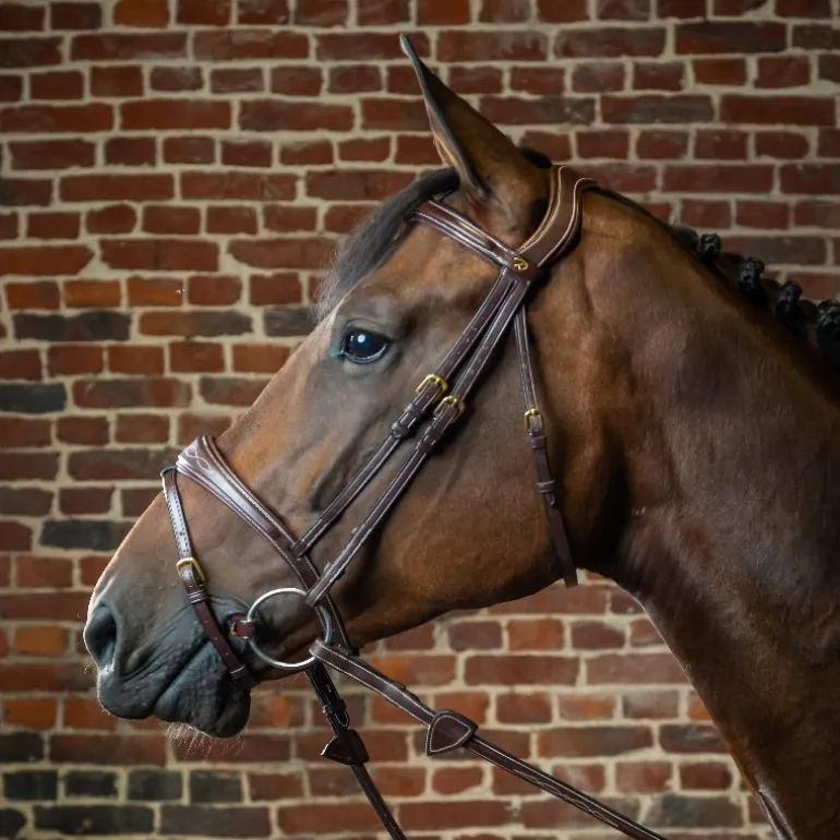 Bridon cheval muserolle combinée anatomique D Collection - Dy'on