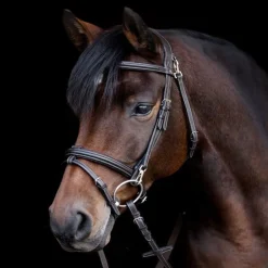 Bridon cheval Work X-Line - Waldhausen