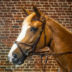 Bridon cheval X-Fit D Collection - Dy'on