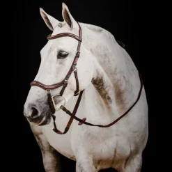 Bridon cuir anatomique cheval Micklem Rambo Deluxe Competition - Horseware