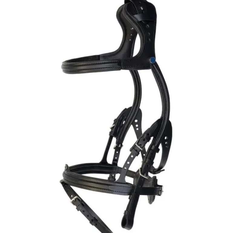 Bridon cuir cheval anatomique Freedom - Stübben
