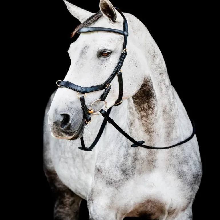 Bridon cuir cheval Micklem 2 multi-bride - Horseware