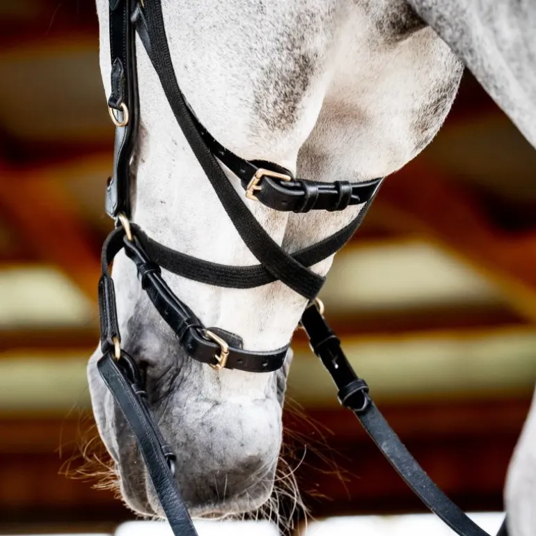 Bridon cuir cheval Micklem 2 multi-bride - Horseware