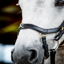 Bridon cuir cheval Micklem 2 multi-bride - Horseware