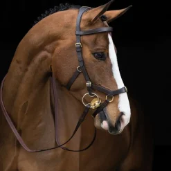 Bridon cuir cheval Rambo Micklem Multi - Horseware