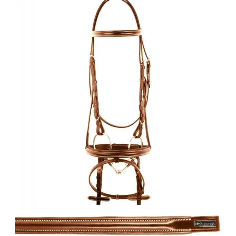 Bridon cuir muserolle combinée surpiqûres Equestro