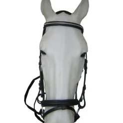 Bridon cuir muserolle combinée - Cavalhorse