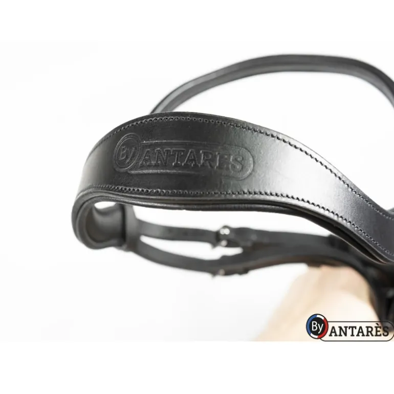 Bridon cuir muserolle combinée large dressage Signature - Antarès