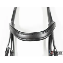 Bridon cuir muserolle combinée large dressage Signature - Antarès