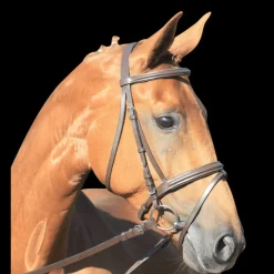 Bridon cuir muserolle combinée Lifestyle - Waldhausen