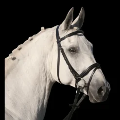 Bridon cuir muserolle combinée Lifestyle - Waldhausen