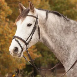 Bridon cuir muserolle combinée Diamond - Waldhausen