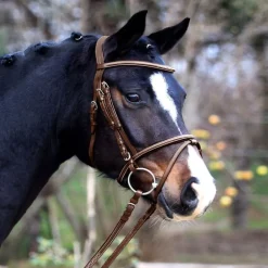 Bridon cuir muserolle combinée X-Line Santander - Waldhausen