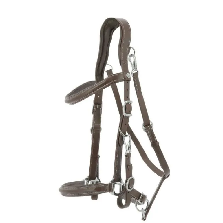 Bridon licol cheval Trekking