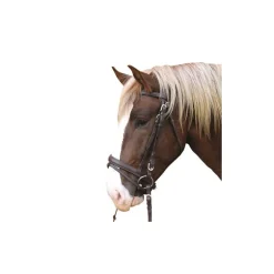 Bridon muserolle combinée cheval de trait