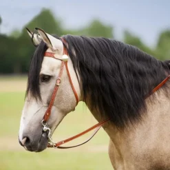 Bridon western Two Tone Westride