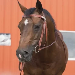 Bridon western Two Tone Westride