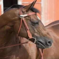Bridon western Two Tone Westride