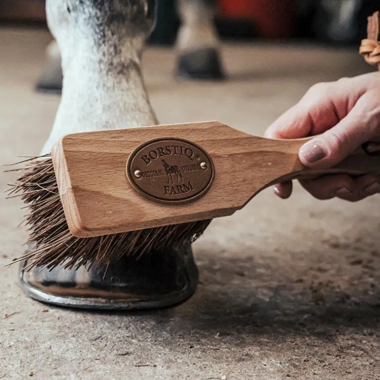 Brosse à sabot cheval Islandaise - Borstiq