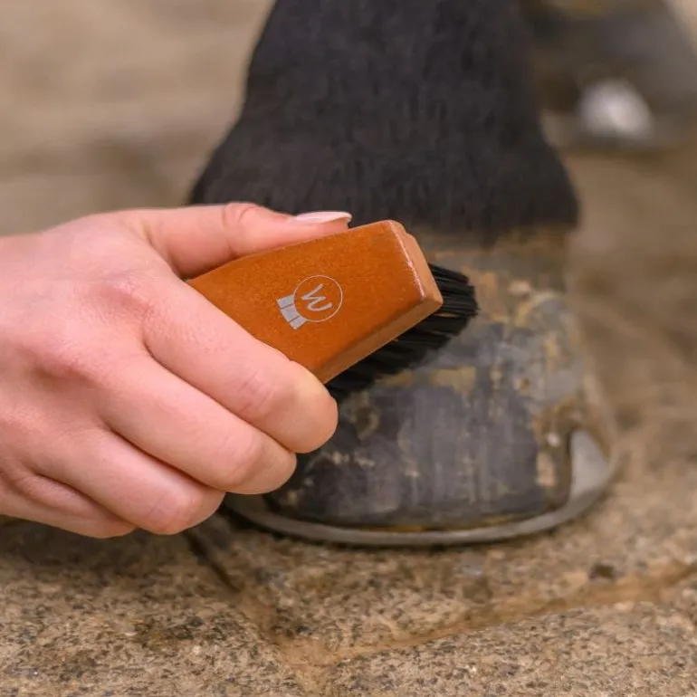 Brosse à sabots Hard Wood - Waldhausen