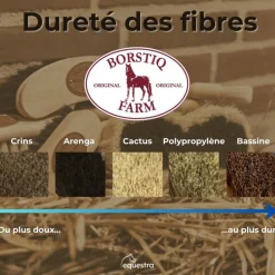 Brosse cheval banane Arenga bois de hêtre - Borstiq