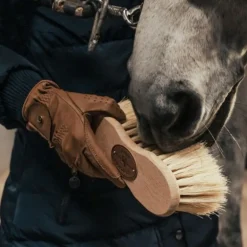 Brosse cheval Cactus/crins Infini - Borstiq