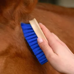 Brosse douce tête cheval - Waldhausen