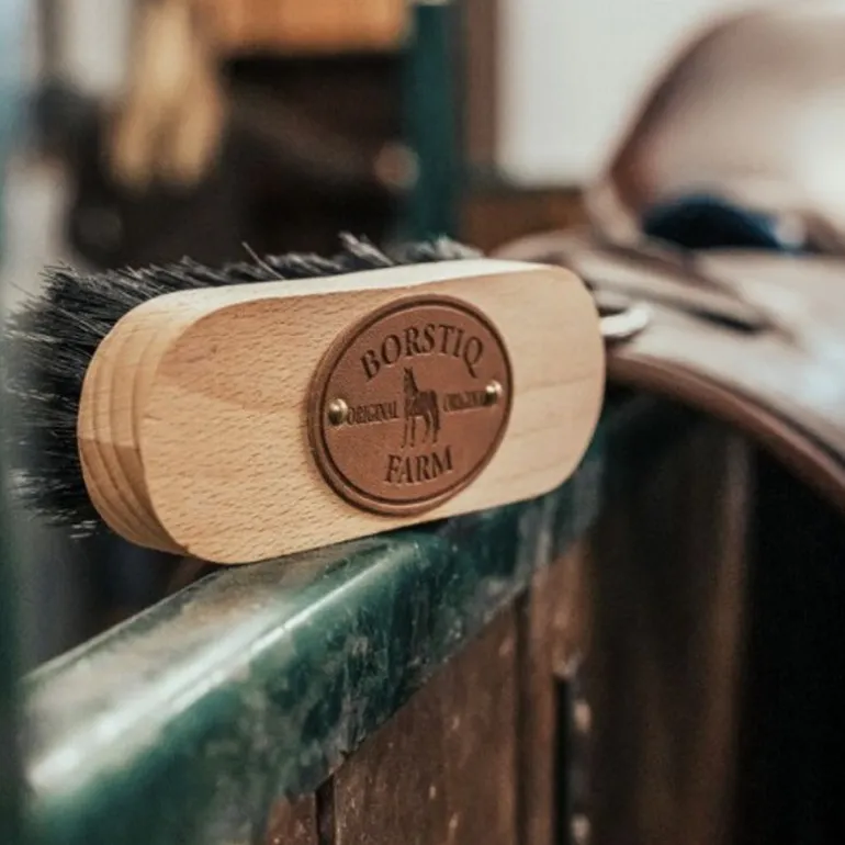 Brosse tête cheval bois de hêtre - Borstiq