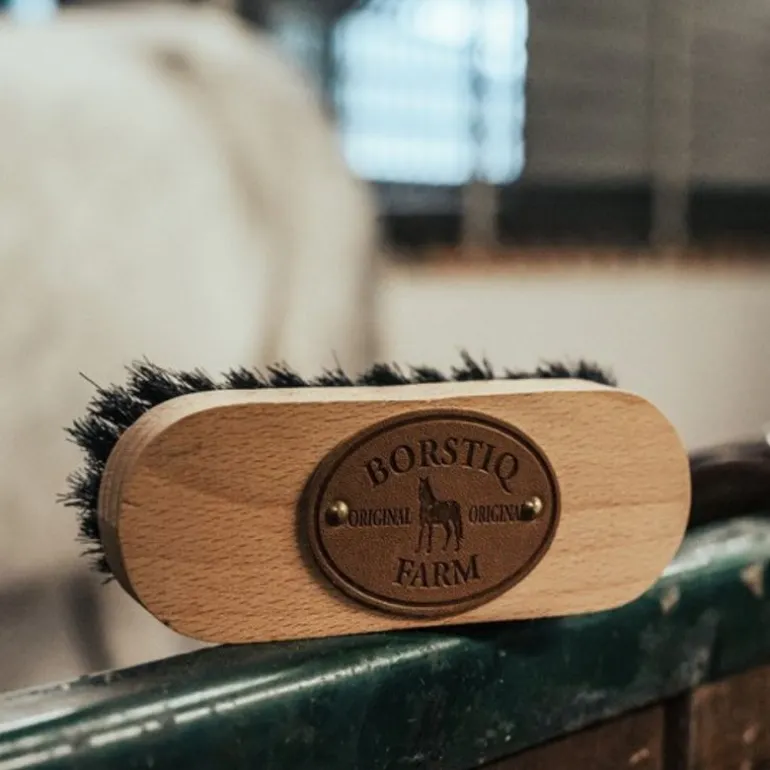 Brosse tête cheval bois de hêtre - Borstiq