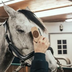 Brosse tête cheval bois de hêtre - Borstiq