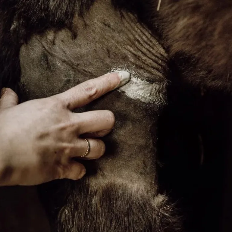 Cataplasme Argile réparateur cheval - Nellumbo