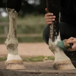Cataplasme d'argile cheval - Douleurs musculaires et articulaires - Nellumbo