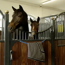 Chaine de box/porte couverture cheval gainé plastique