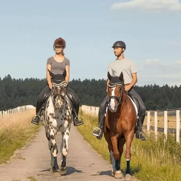 Chaussette de contention cheval Active Compression zip - Equicrown