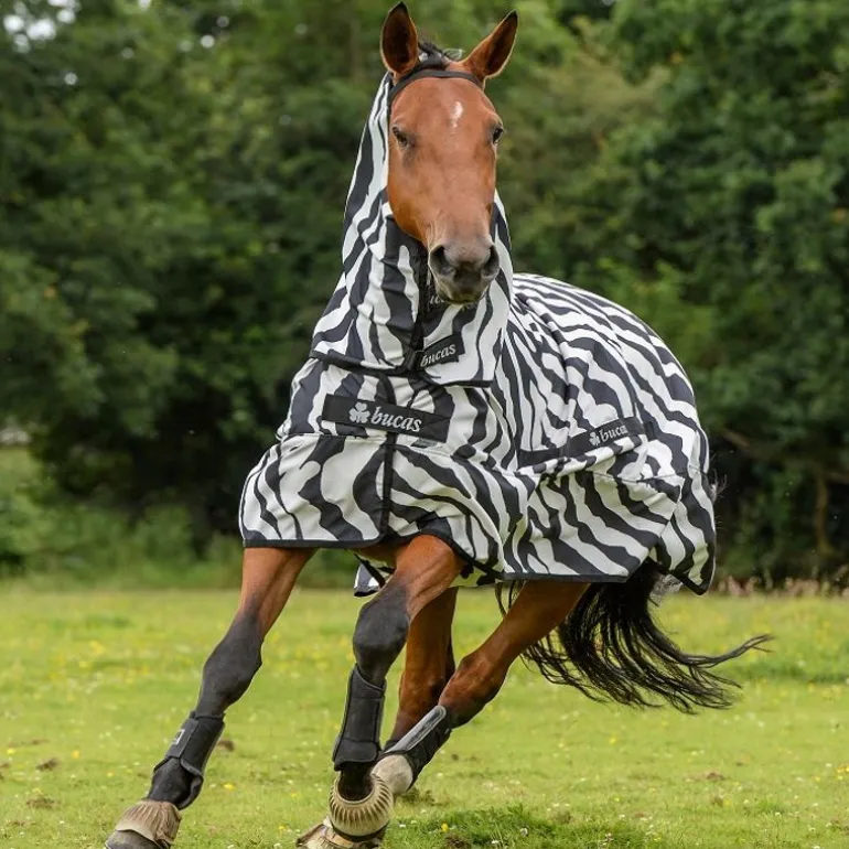 Chemise anti-dermite Poney Sweet Itch Zebra - Bucas