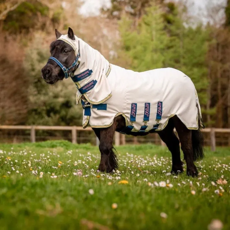 Chemise anti-mouche anti-uv shetland Amigo Petite Hoody - Horseware