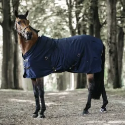 Chemise cheval en coton - Kentucky