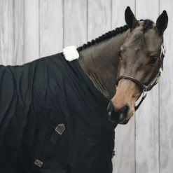 Chemise cheval en coton - Kentucky