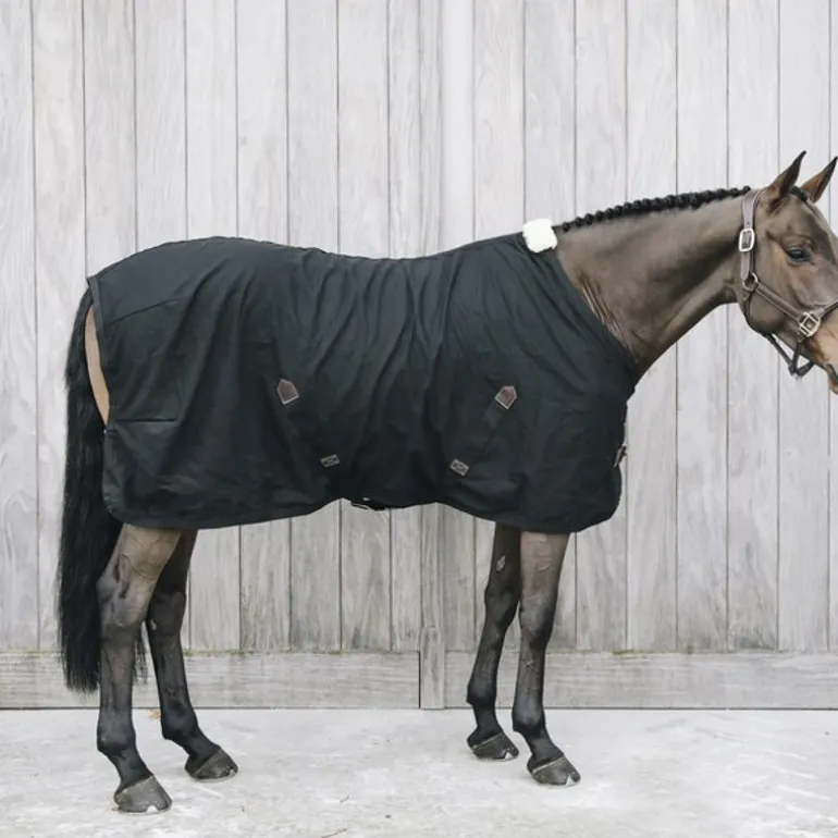 Chemise cheval en coton - Kentucky