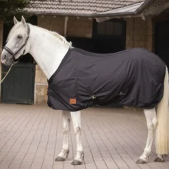 Chemise écurie cheval Light Mesh - Paddock Sports