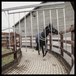 Chemise de marcheur cheval imperméable - Kentucky