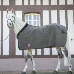 Chemise de présentation cheval Wooltouch - Paddock Sports