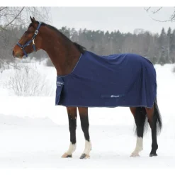 Chemise de transport séchante cheval Shamrock Power - Bucas