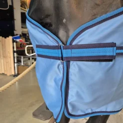 Chemise en coton cheval Summer Sheet