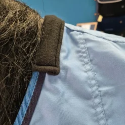 Chemise en coton cheval Summer Sheet